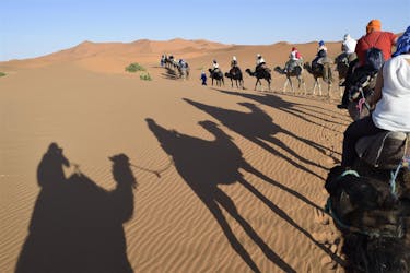 Excursão de 4 dias – 3 noites no Saara aos desertos de Tinfou e Merzouga